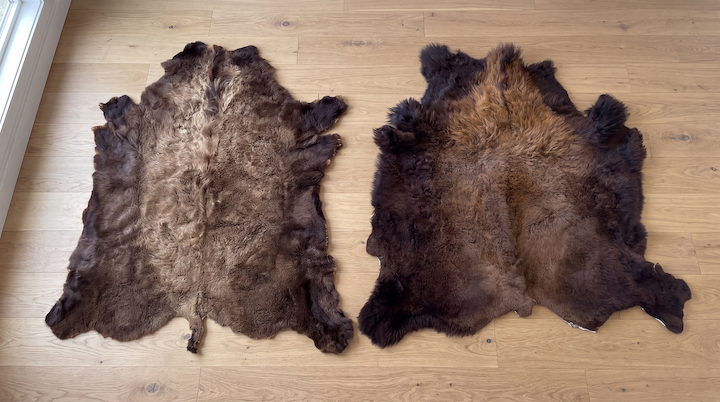 Frontier Reserve and Frontier Select bison hides side by side on a wood floor, showing the difference in size and fur length