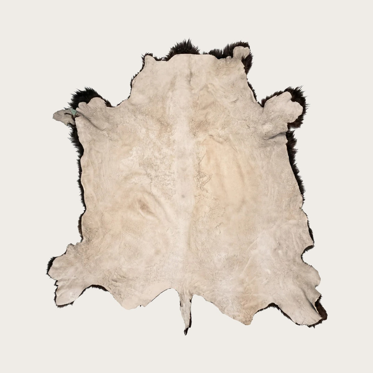 Frontier Select American buffalo hide, natural vegetable tanned suede back, large