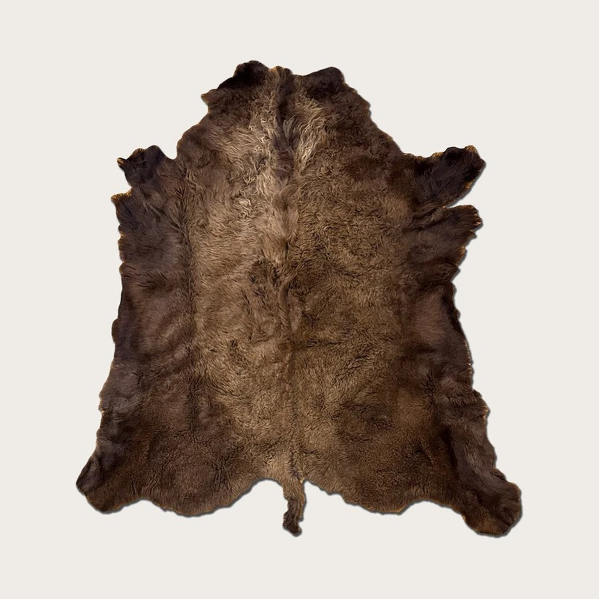 Frontier Reserve American bison hide, fur side with up to 7 inch winter coat, extra large, on stone background