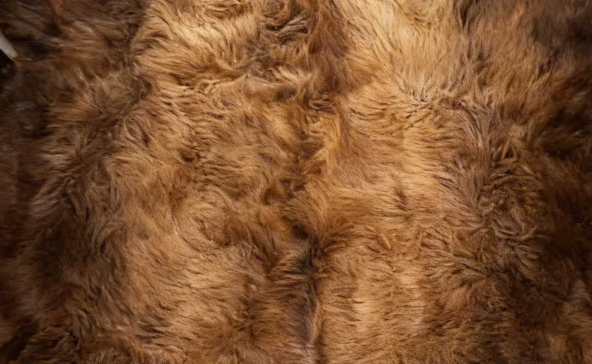 Close-up of Frontier Reserve bison hide fur, winter coat up to 7 inches, chocolate and caramel