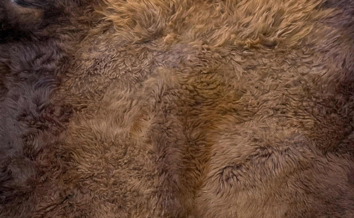 Close-up of Frontier Select bison hide fur, dense, winter coat up to 5 inches, espresso with amber saddle
